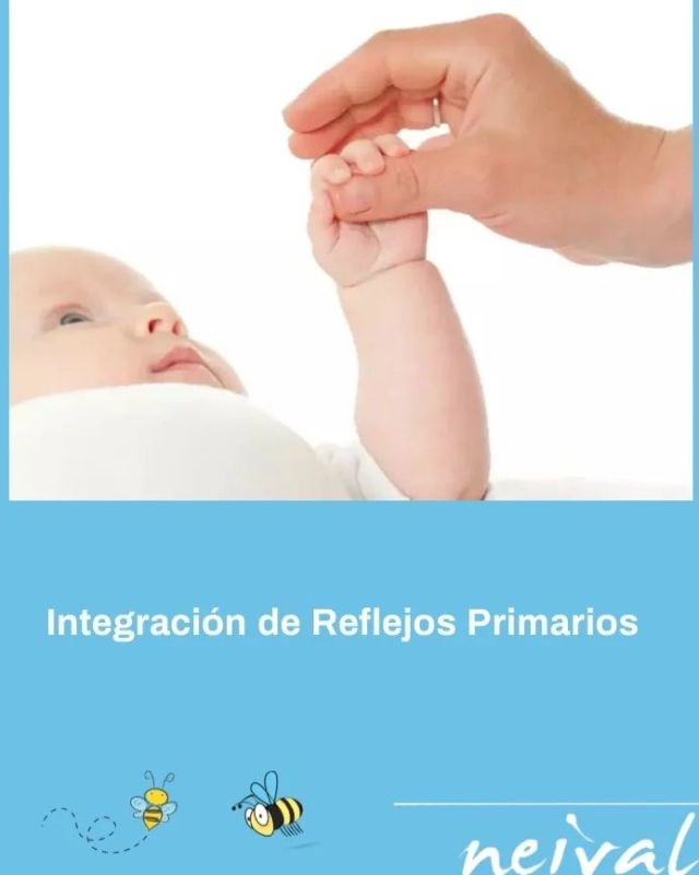 Los reflejos primitivos, 👉se definen como movimientos estereotipados y automáticos regulados por el tronco encéfalico, cuya finalidad reside en la protección del niño tanto en el desarrollo intrauterino como a lo largo de los primeros años de vida extrauterina.

👉Conforme el niño va creciendo y su sistema nervioso madurando, van desapareciendo para dar paso a los movimientos controlados por centros superiores cerebrales.✨ Si se mantienen más de lo necesario, entorpecen el pleno desarrollo del SNC y sus respuestas posturales, de forma que se impide la maduración de los centros del equilibrio, la integración sensorial entre hemisferios y el tono muscular.

✨Dependiendo de las dificultades que presente el niño, las mejoras se observarán en las áreas donde él o los reflejos no se hayan integrado, como el tono muscular, atención y concentración, la expresión oral, la coordinación fina y gruesa, las posturas, el comportamiento, el aprendizaje e incluso una mejoría a nivel emocional.

#reflejosprimitivos #optometria #terapiavisual #saludvisual #desarrollovisual